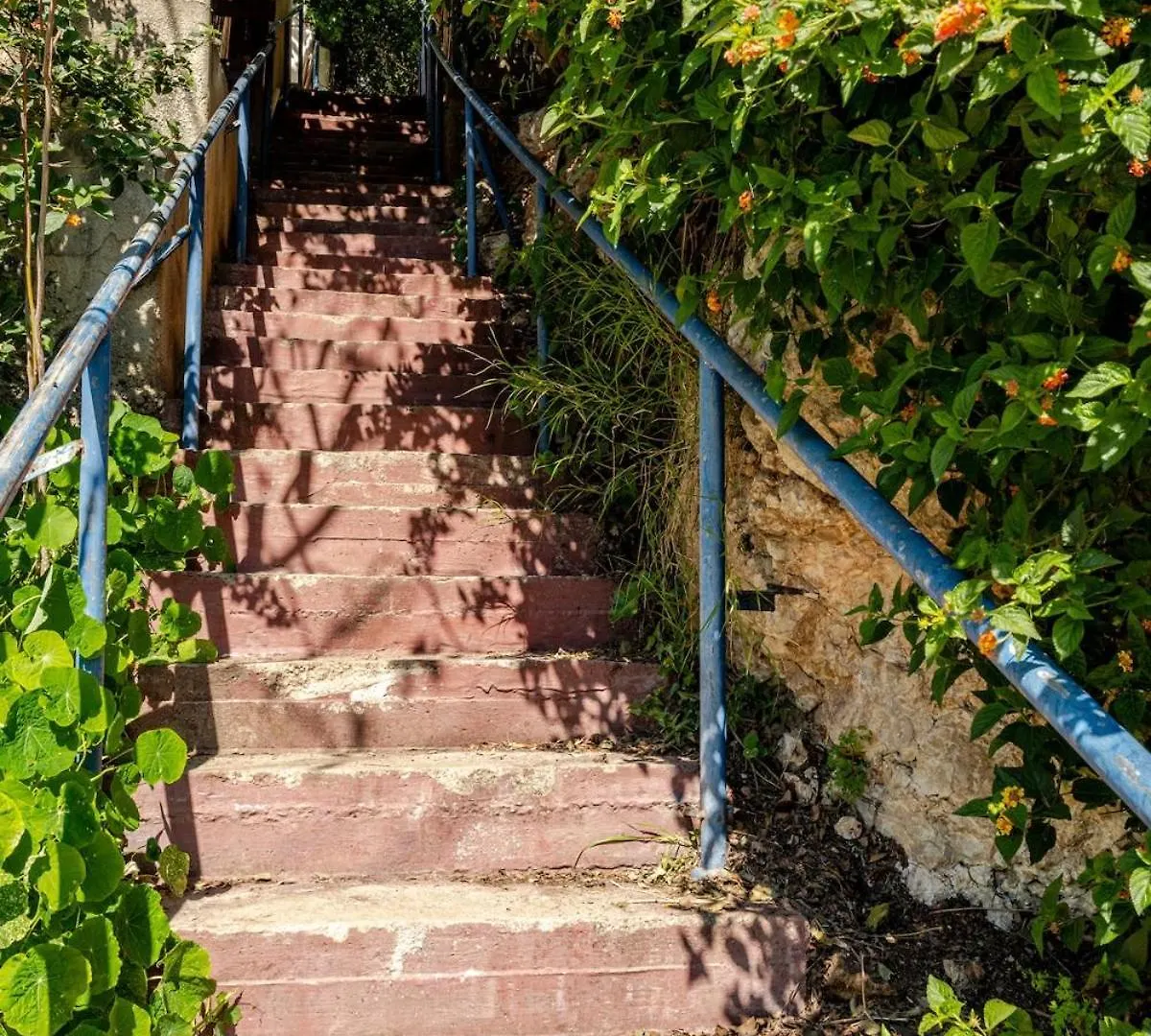 The Zen Suite - Haifa Peaceful Place 以色列